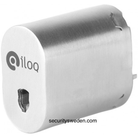 iLOQ Cylinder oval C10S.10 inne